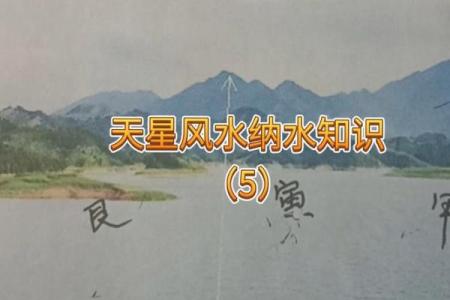 天星风水张子成风水