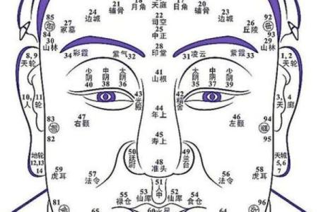 脸上各部位的胎记如何分析算命？