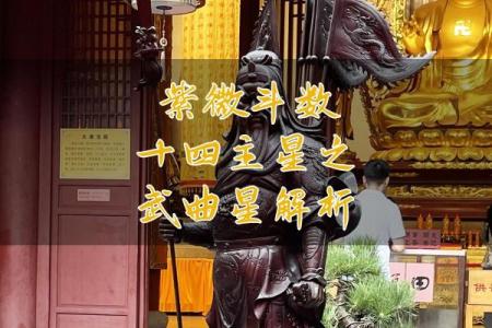 紫微斗数之事业宫与诸星，武曲星在事业宫是什么意思？
