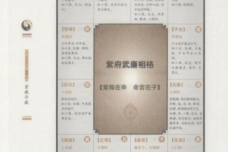 紫薇斗数真的准码