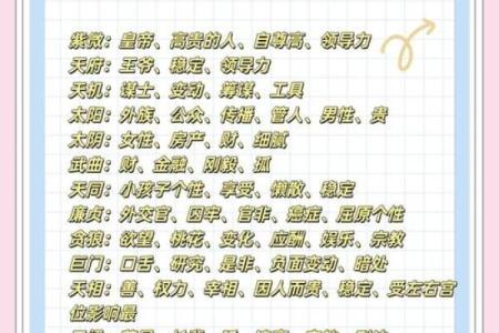 紫薇斗数外国人