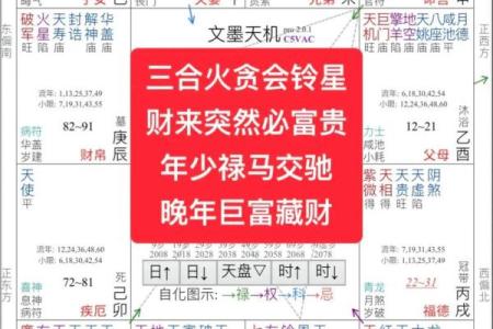 紫薇斗数与八字优缺点