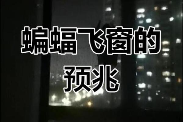 蝙蝠入屋是不吉利的吗风水上讲预示着什么-