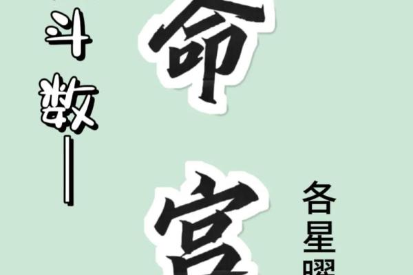 文斗天机紫薇斗数