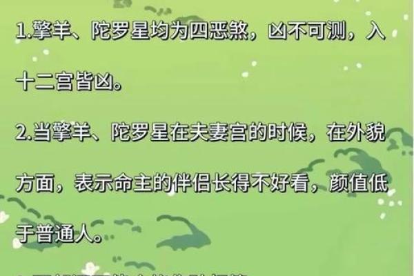 紫薇斗数福德紫薇天相