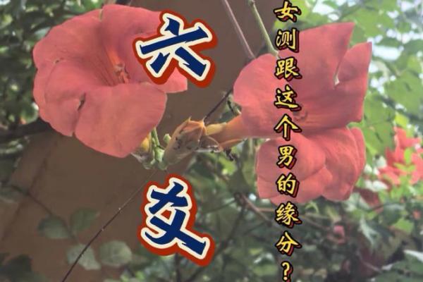 免费缘分测试视频下载网 在线缘分测试免费？