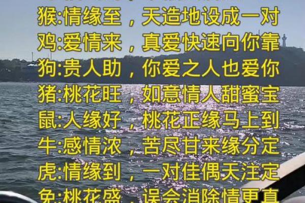 免费缘分测试视频下载网 在线缘分测试免费？
