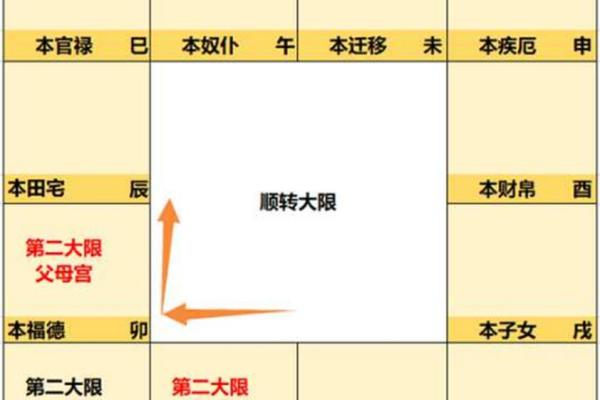 紫薇斗数安大限诀