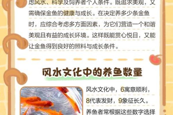 养鱼喜忌：家庭养鱼的风水讲究