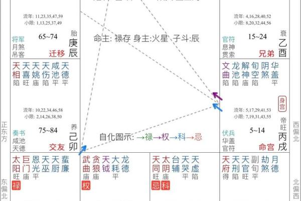 属于紫薇斗数