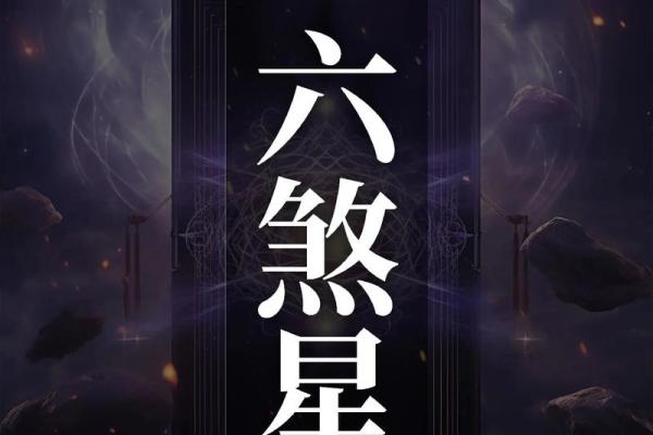 高人汇紫薇斗数