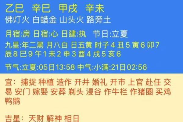 八字乙巳日