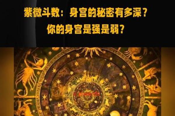 紫薇斗数身宫