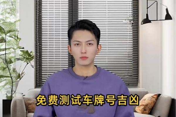 车牌号码免费吉凶测试