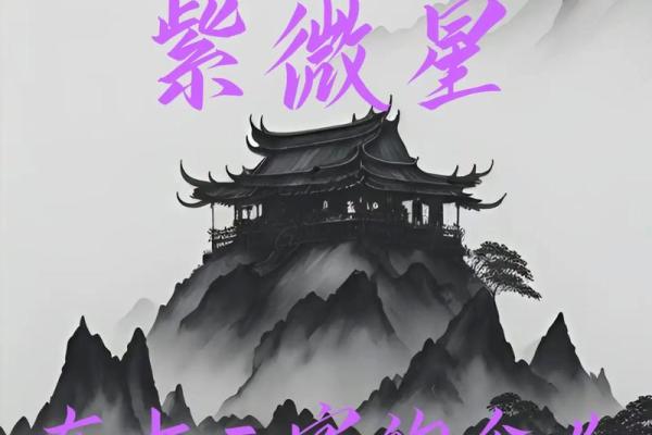紫微斗数诸星落诸宫之：紫微星子女宫详解