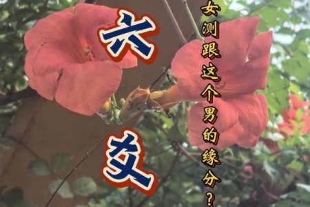 免费缘分测试视频下载网 在线缘分测试免费？