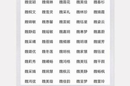 魏姓女孩名字大全-魏姓女孩起名字大全-魏姓名字大全姓名