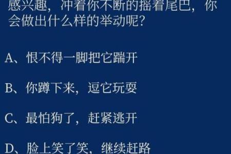 根据名字测试你是什么动物  本命动物测试
