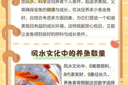 养鱼喜忌：家庭养鱼的风水讲究