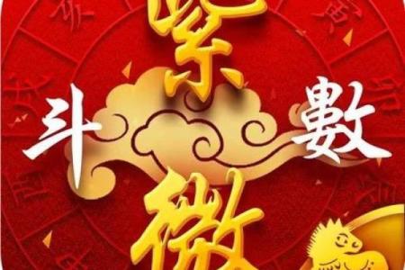 紫薇斗数看何时买车