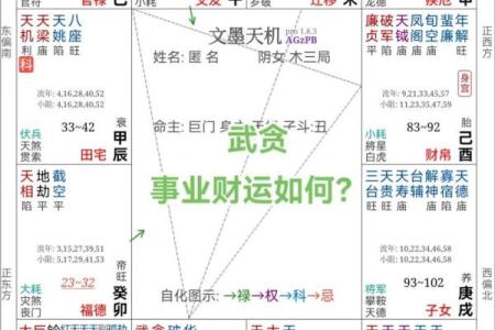 紫薇斗数测股票