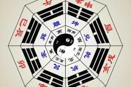 阴阳五行是八字命理的基础