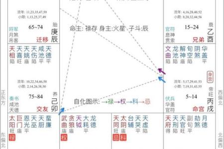 属于紫薇斗数
