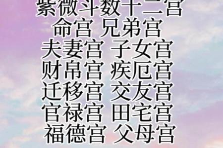 高人汇紫薇斗数