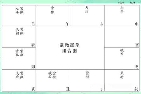 紫薇斗数天月星