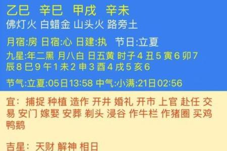 八字乙巳日