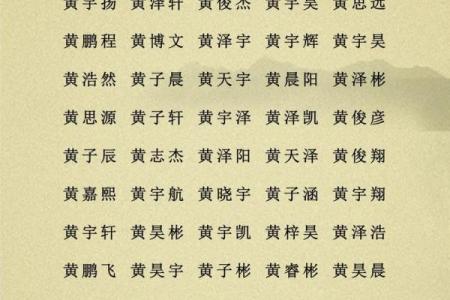 2019年5月26号子时出生的男孩应该起什么样的名字姓名