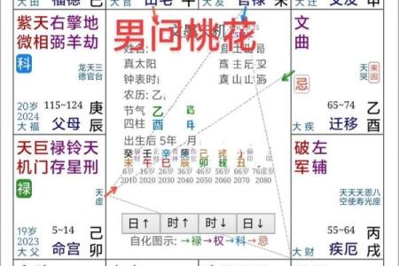 紫薇斗数桃花位