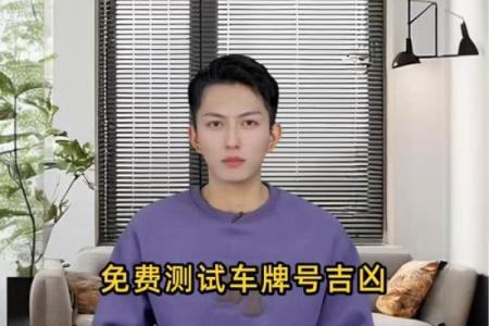 车牌号码免费吉凶测试