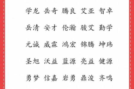起名字大全免费测试,公司取名字参考大全