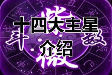 紫薇斗数金星