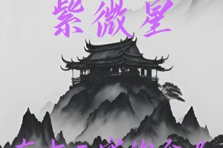 紫微斗数诸星落诸宫之：紫微星子女宫详解