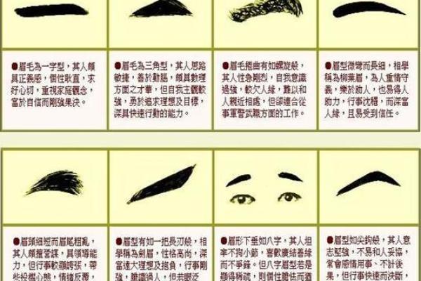 风水面相哪三种眉毛男人最好命
