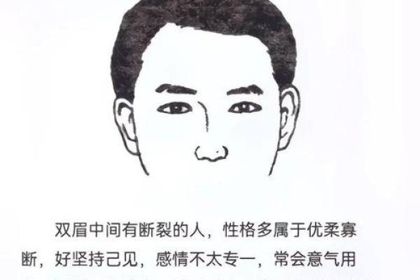 风水面相哪三种眉毛男人最好命
