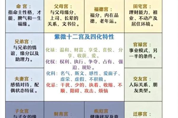 紫薇斗数术数