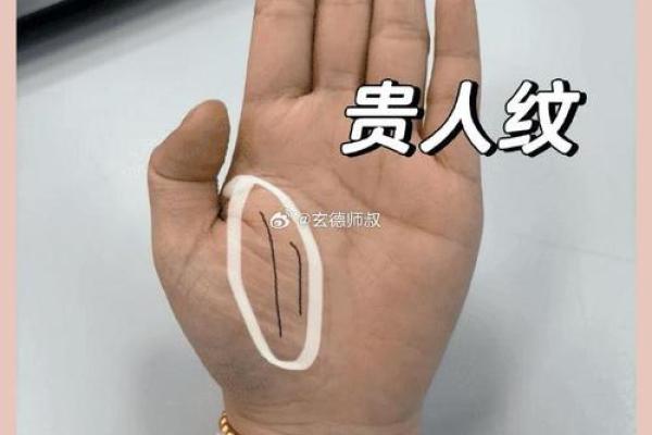 算命中指的官是什么