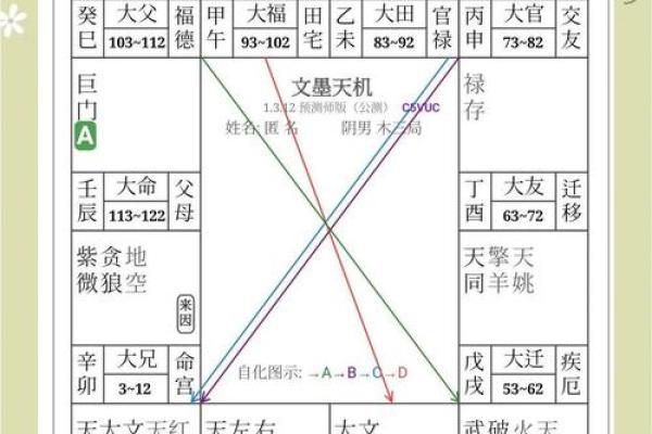 紫薇命盘紫薇斗数
