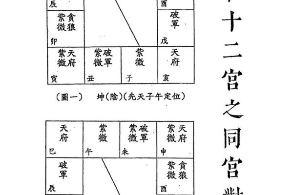 紫薇斗数什么宫最重要