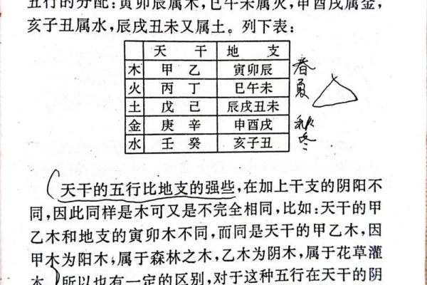 八字甲乙