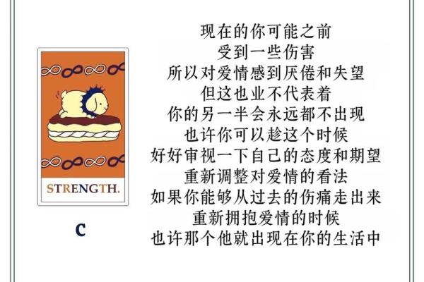 塔罗测试：未来另一半有什么特征