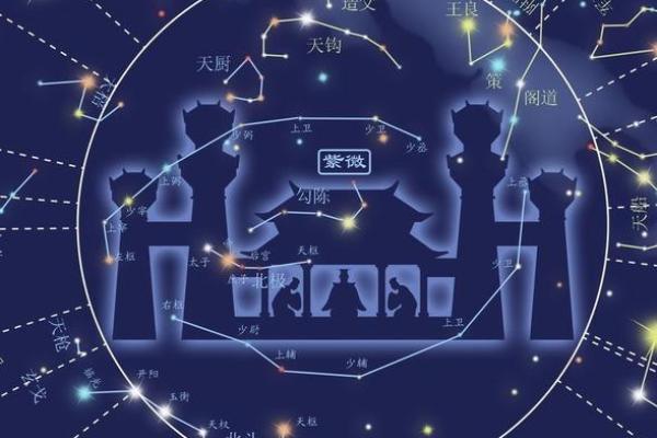 紫薇斗数大田宅