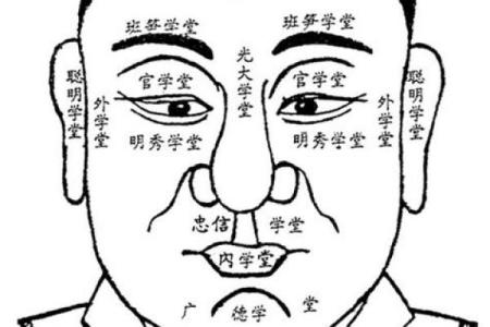 八字脸是什么脸型  八字脸的男人面相