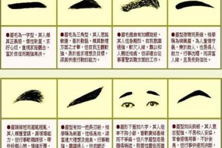 风水面相哪三种眉毛男人最好命