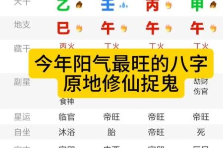八字太旺
