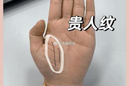 算命中指的官是什么