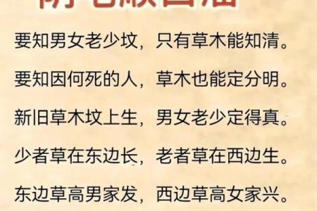 阴宅风水：墓地别出现这些东西